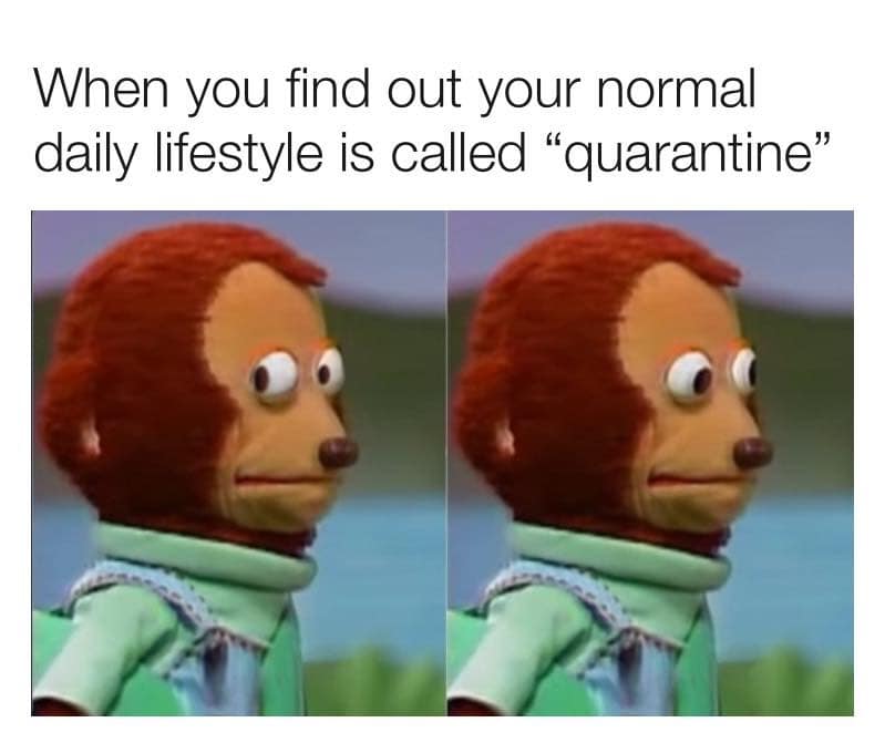 "When you find out your normal daily lifestyle is called quarantine" meme
